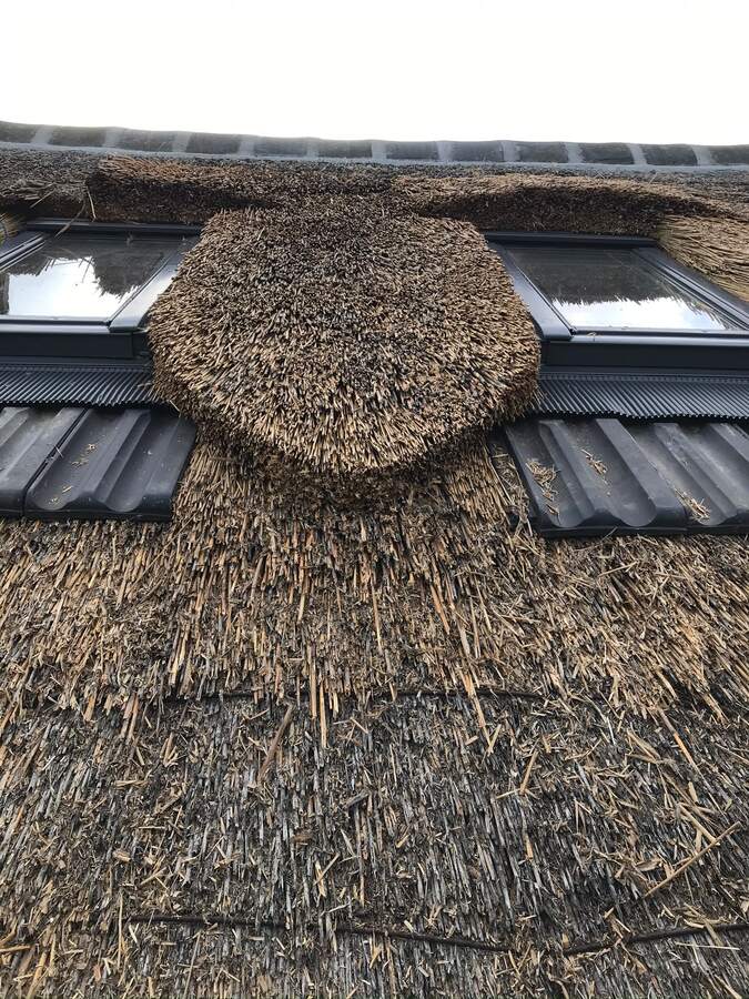 Detail van rietbundels op de nok