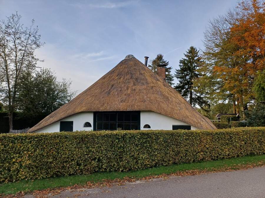 Rieten dak achter haag
