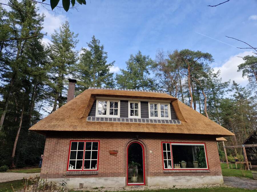 Rieten dak bosrijke omgeving